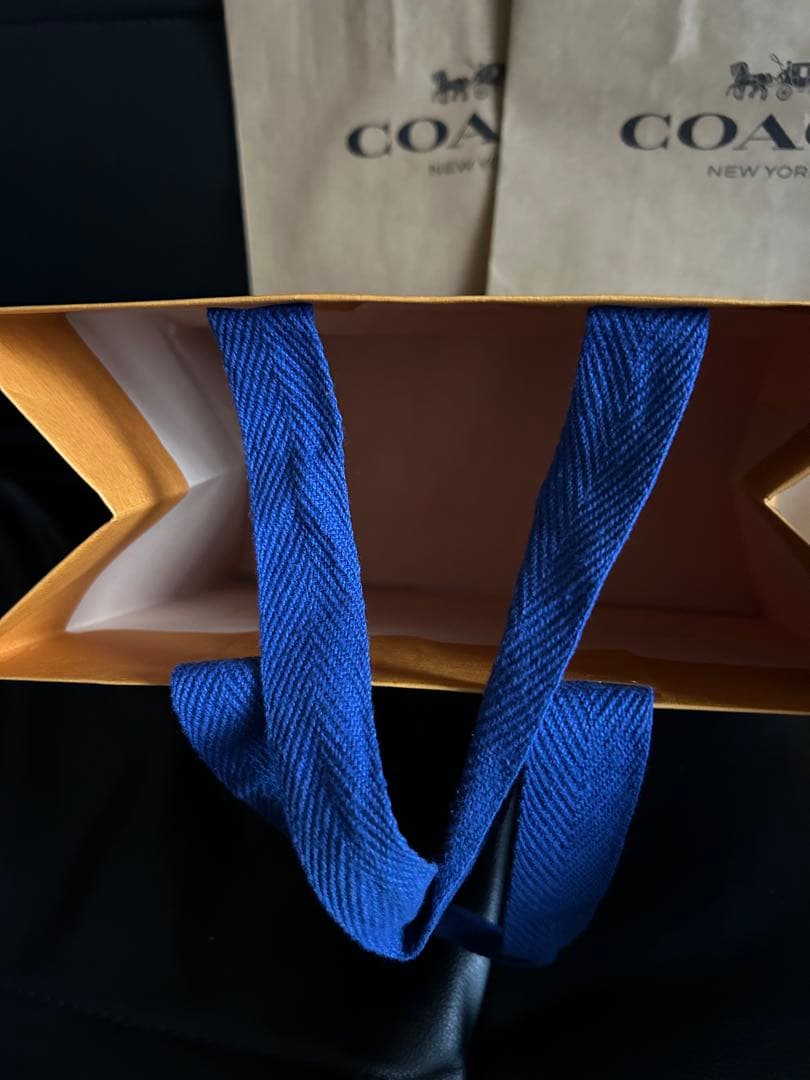 LOUIS VUITTON & COACH (２枚) ショッパー