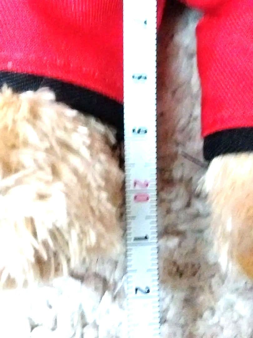 テディベア・スーパーアグリ佐藤琢磨