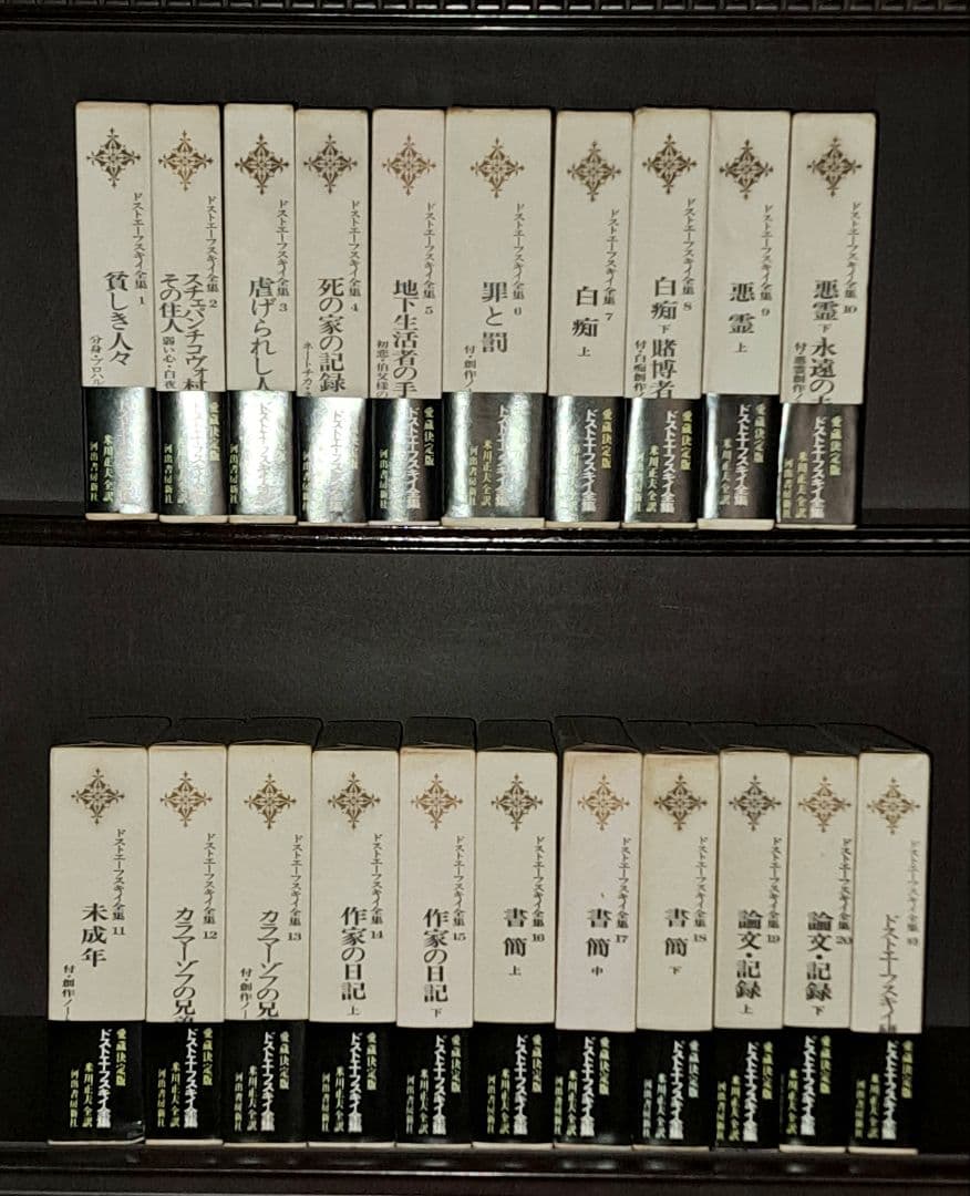 ドストエフースキイ全集全20巻別巻1