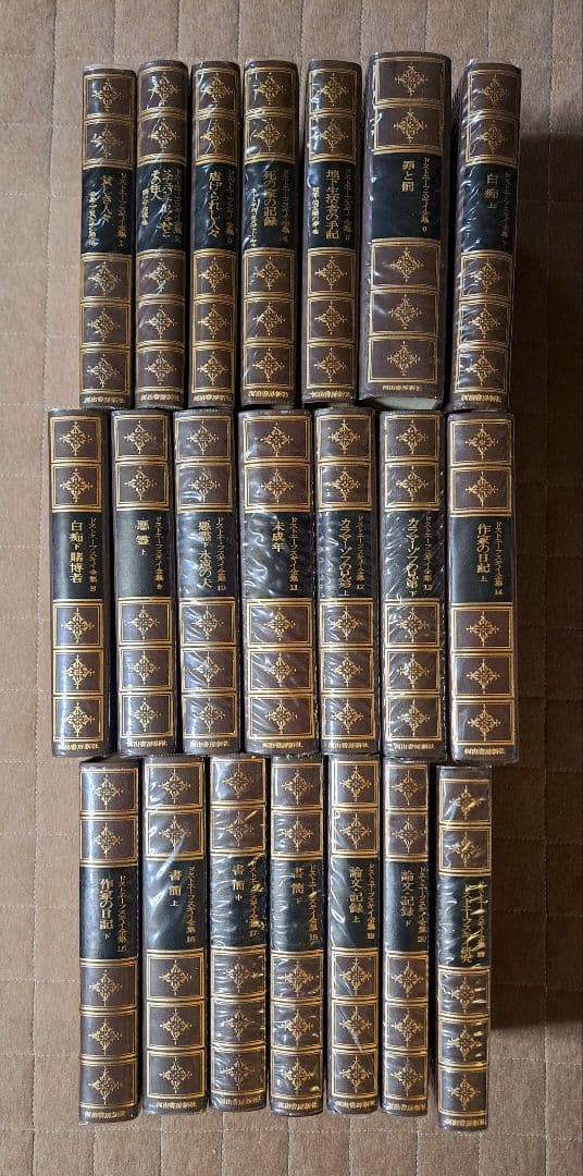 ドストエフースキイ全集全20巻別巻1