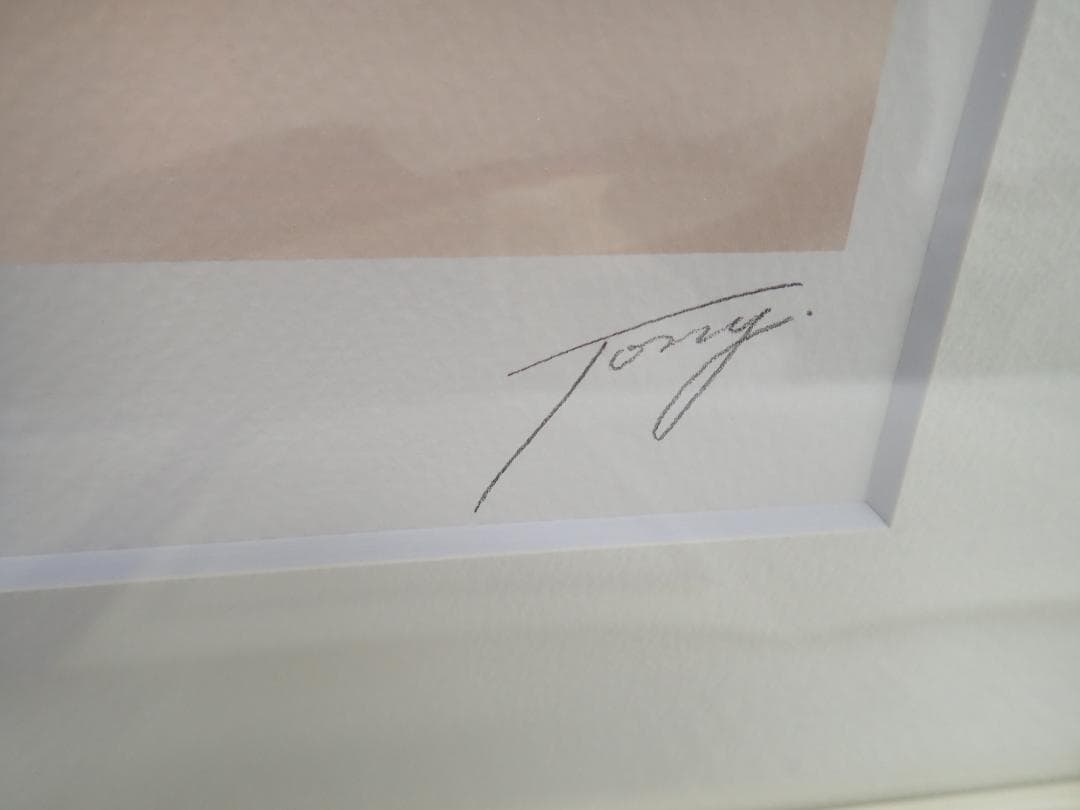 ⑤未使用・保証書　Tony「PURE SMILE」ミクスドメディア アールビバン