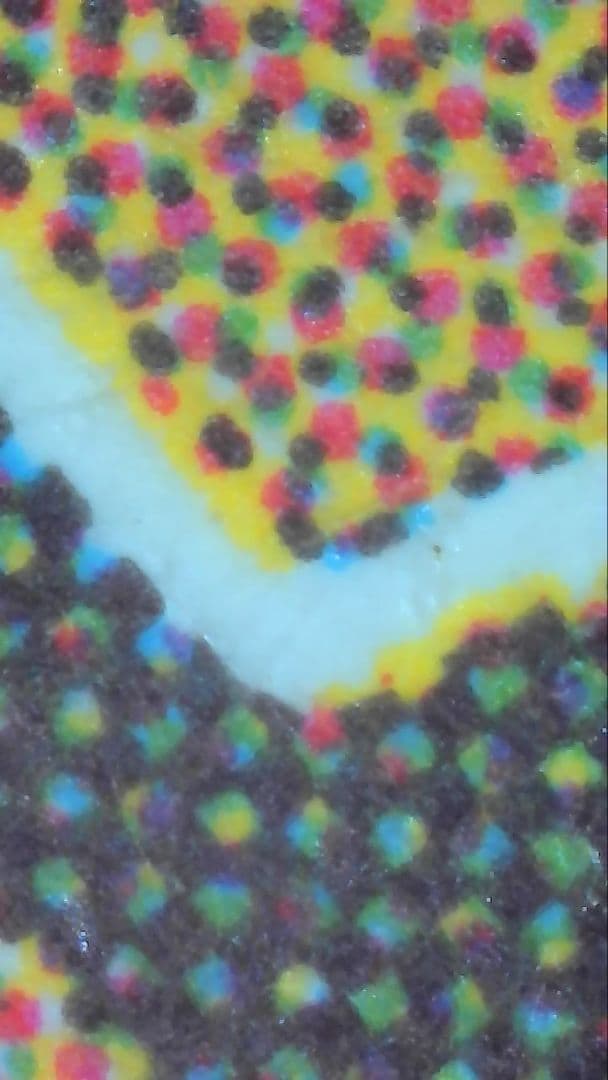 適者生存/Survival of the Fittest、EXO、日本語、１枚