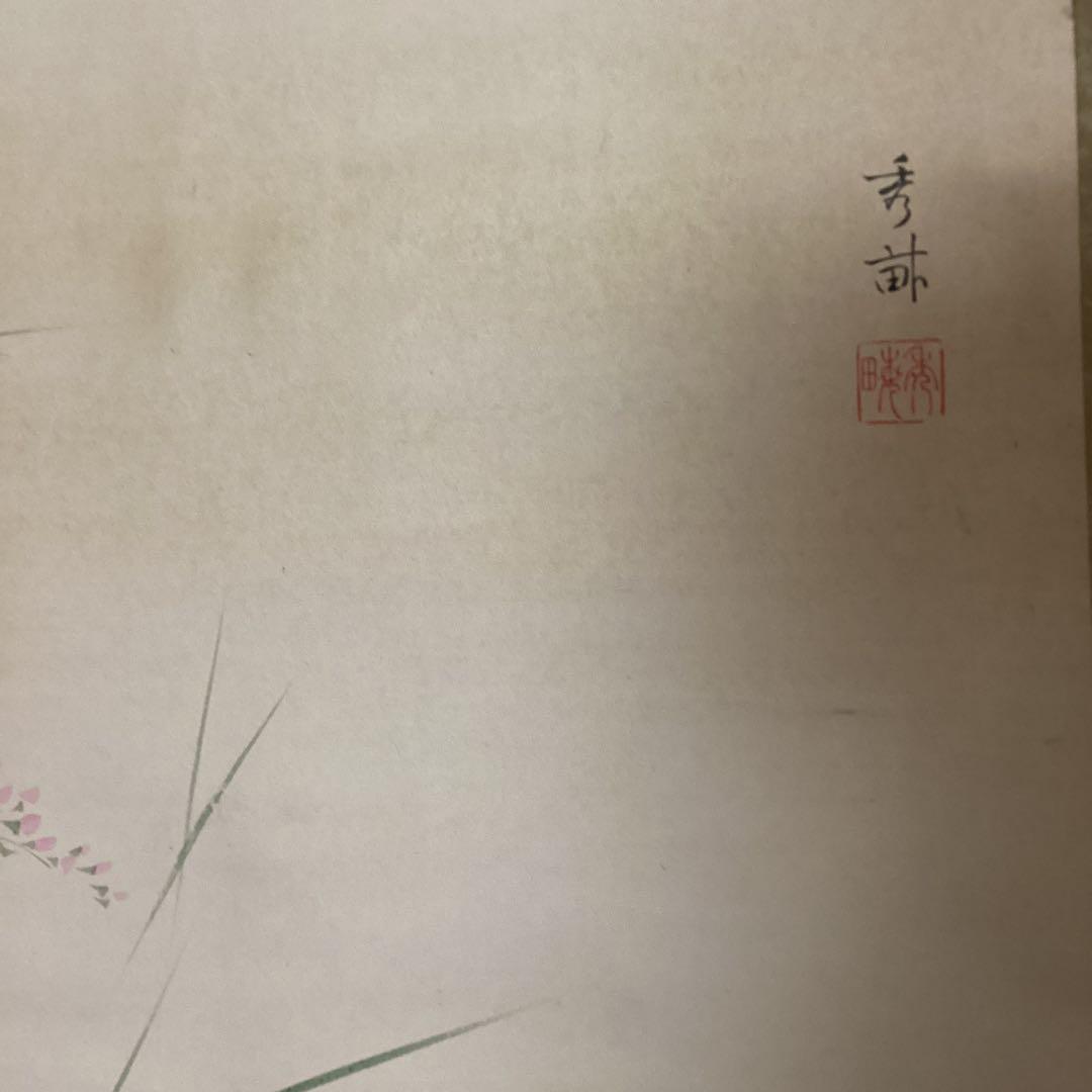 池上秀畝　筆　　紙本肉筆彩色画　【秋草図】　桐箱　軸先骨　　掛軸一幅　200