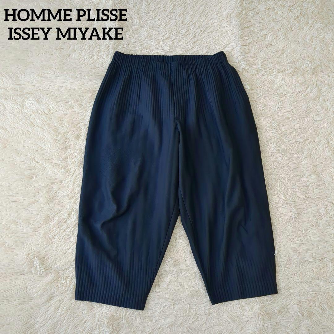 オムプリッセイッセイミヤケ サルエルパンツ プリーツ ネイビー size3