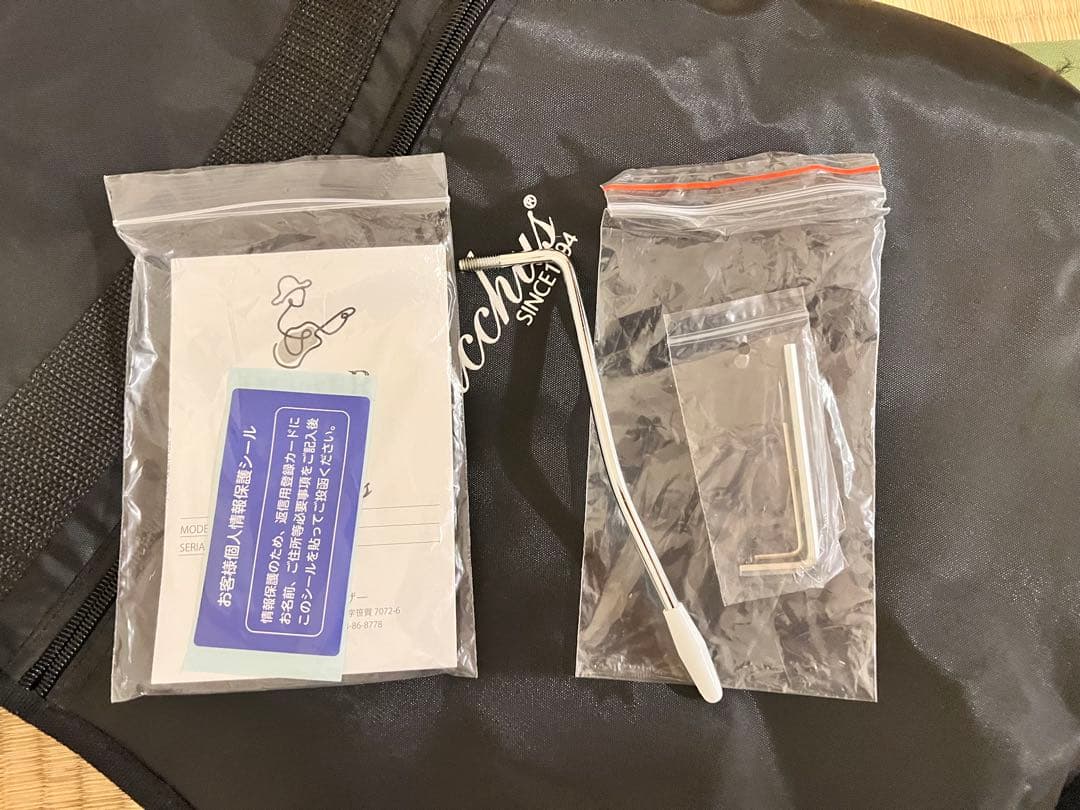 Bacchus BJM-1R DLPB ジャズマスタータイプ