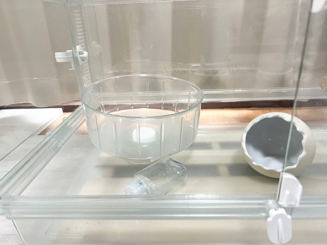 グラスハーモニー 600