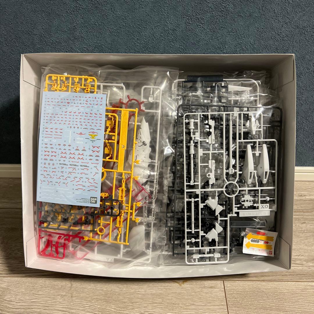 MGトールギスF EW