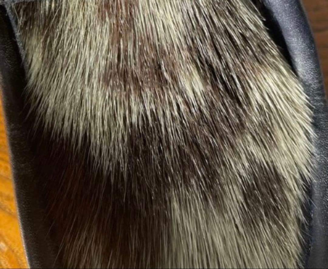 ミカエル　アザラシ　新品未使用　！！　パラブーツ　フォック