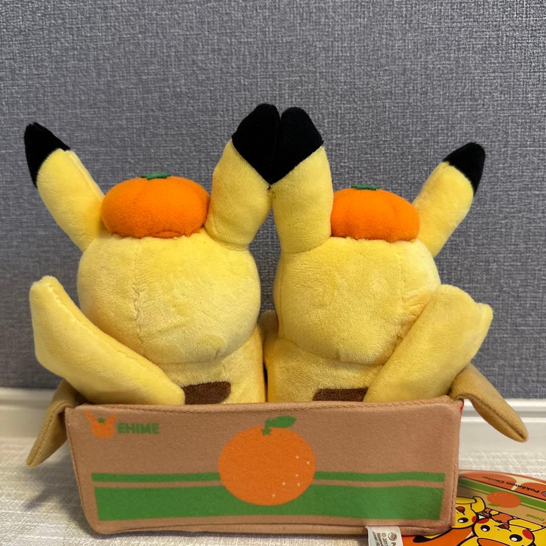 愛媛限定ポケモンセンター　ペアピカチュウぬいぐるみ