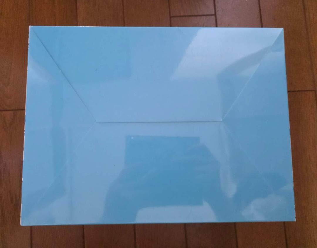 すぐ発送可能　新品 POPMART正規品ONE PIECE x LABUBU