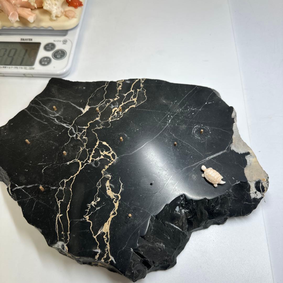 本ぼけ珊瑚　極太原木　赤珊瑚カメ　置物　約291gトコエ　東さ8-0104☆1F