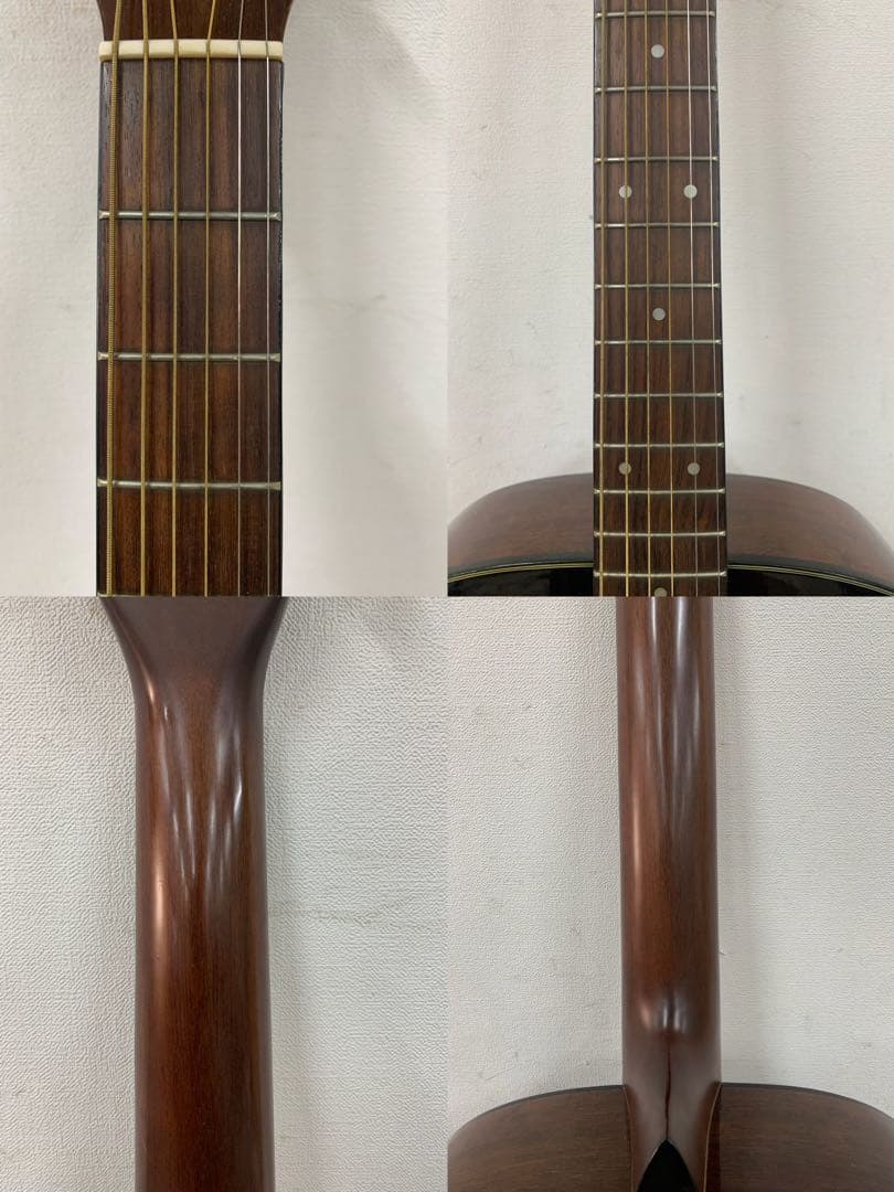 Morris モーリス アコースティックギター MF-256TS