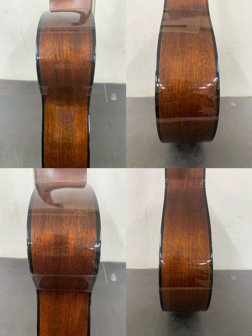 Morris モーリス アコースティックギター MF-256TS