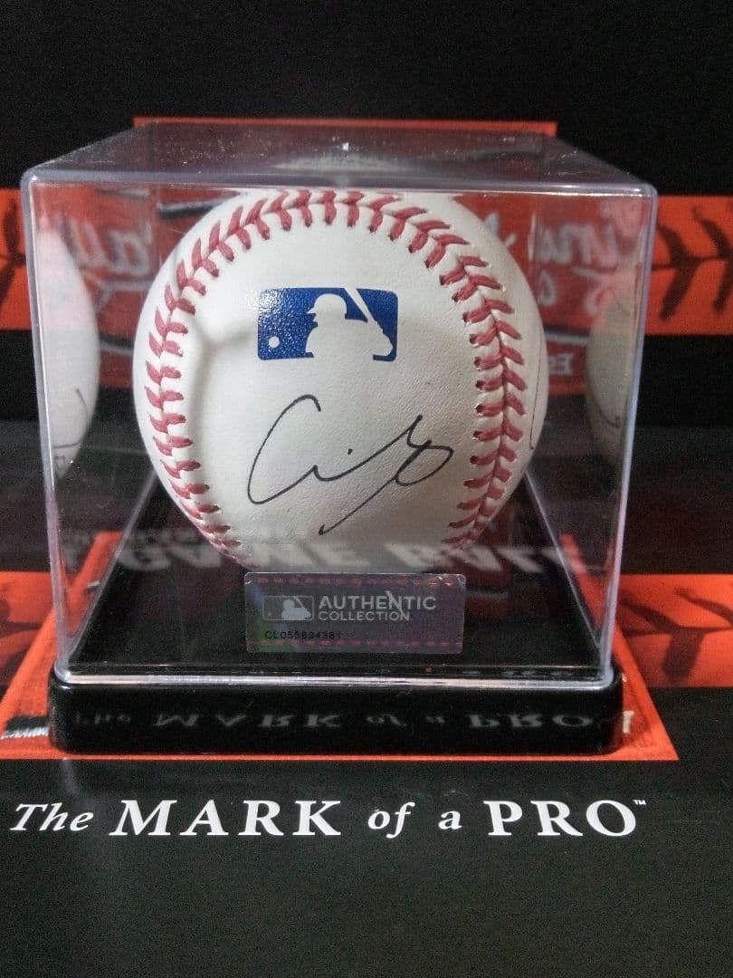 大谷翔平 佐々木朗希 山本由伸 直筆サインボール 寄せ書きボール　MLB試合球