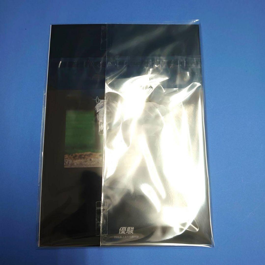 【稀少】メジロマックイーン アイドルホース ぬいぐるみ競馬ウマ娘 馬AVANTI