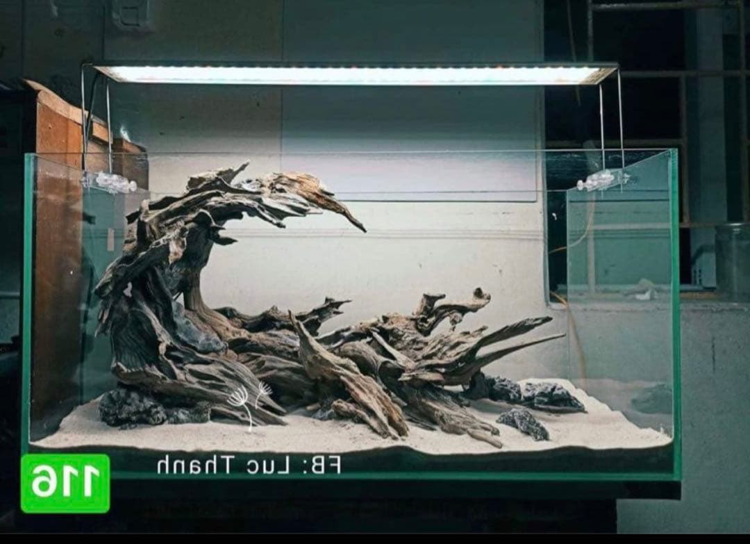 TTD 【⭐︎ 白色様⭐︎】【美品・数量限定】