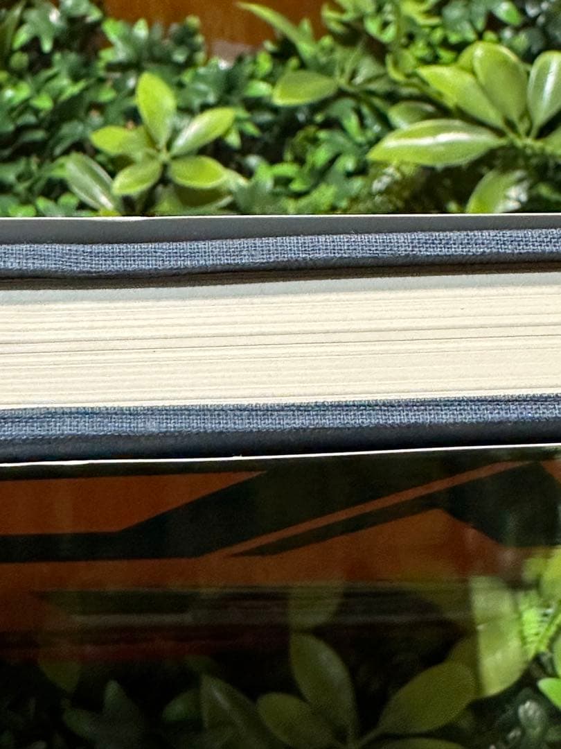 決定版 近鉄特急 寺本光照・林基一 共著 鉄道資料本