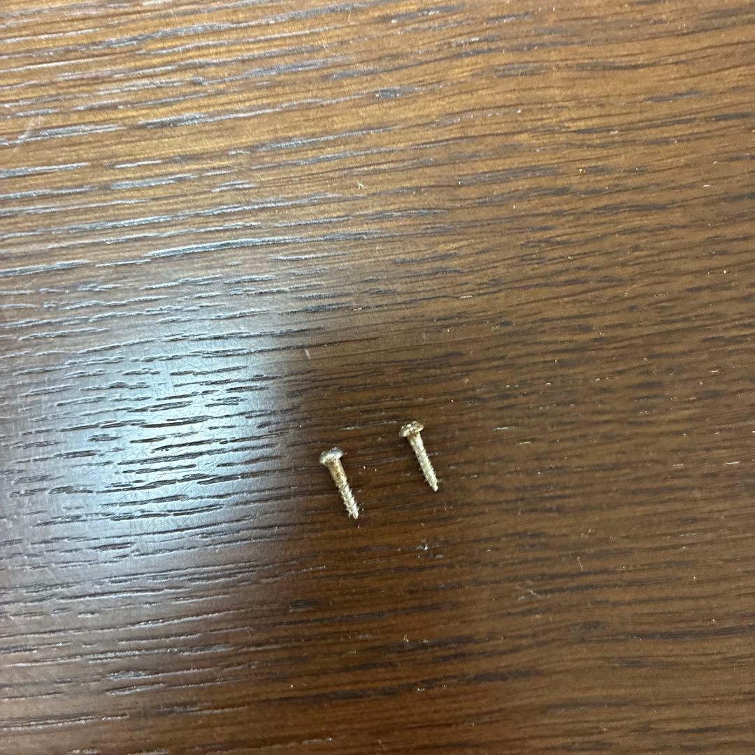 立川広己　F3号キャンバス画　肉筆　油彩　絵画　ミモザ　美術品