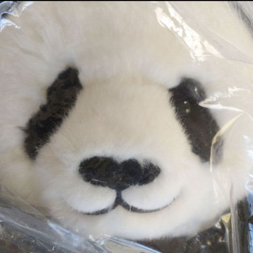 【新品・タグ付き】抱っこシャンシャン　パンダ　ぬいぐるみ