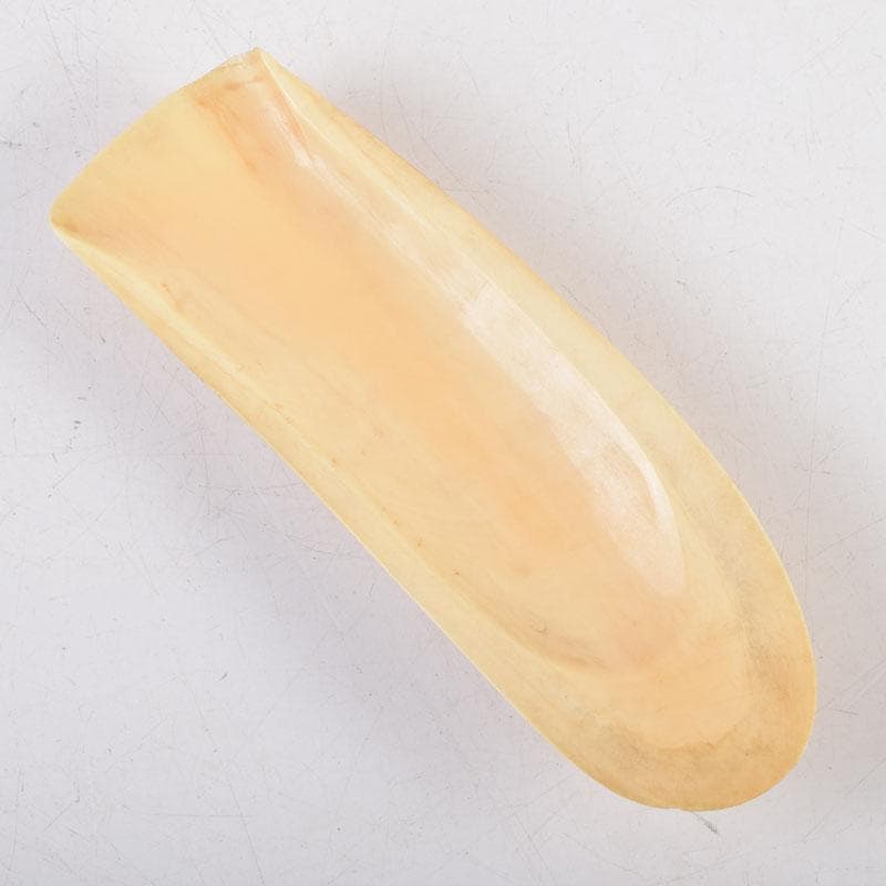 煎茶道具　熊野名産　マッコウクジラ　鯨歯彫刻　茶匙　茶合　共箱　D　9051