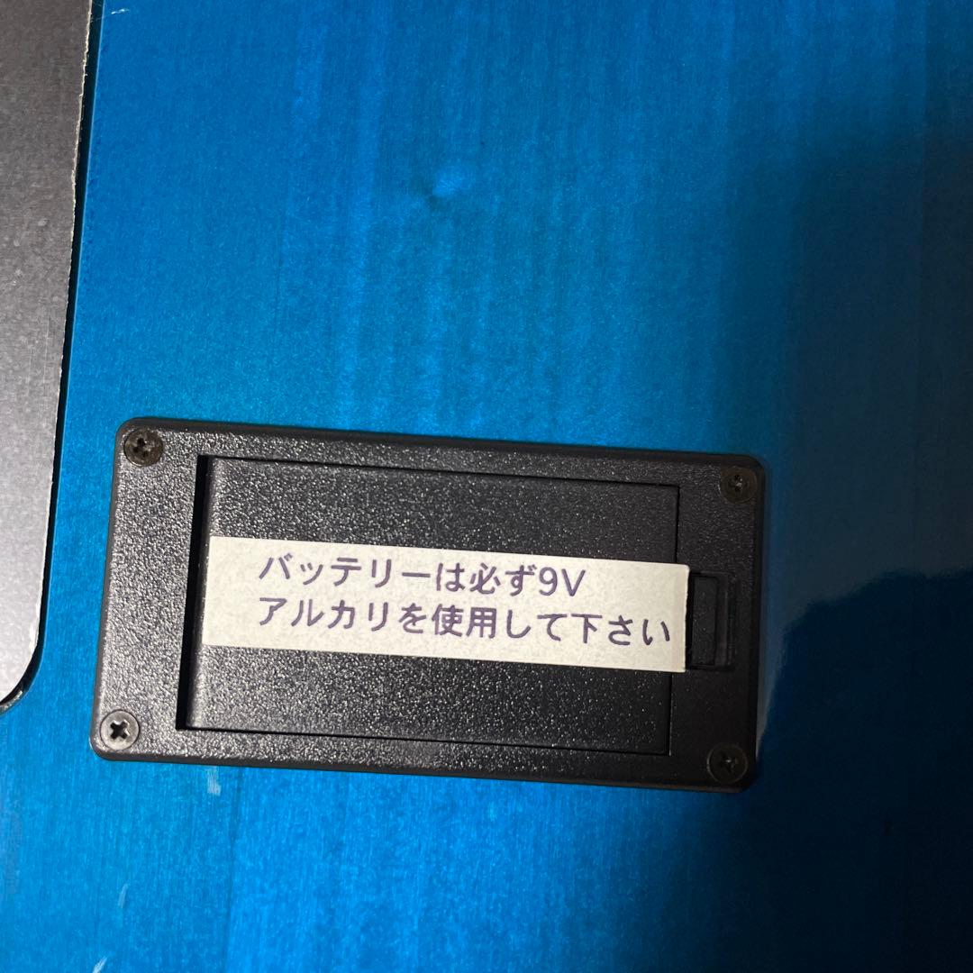 美品　フェルナンデス　APG -55S Blue