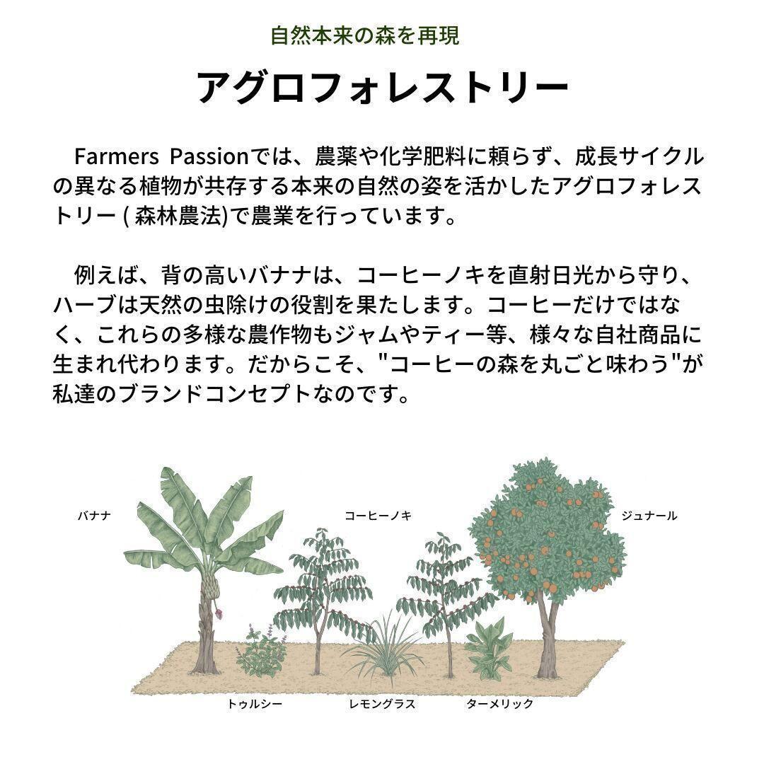 ○オーガニックコーヒー ライト フェアトレード 1kg 粉 コーヒー豆 ネパール