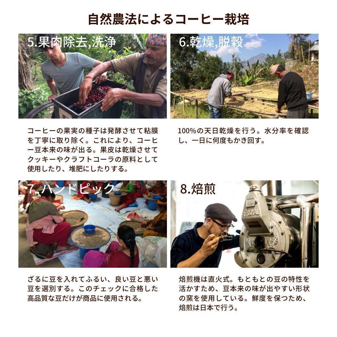 ○オーガニックコーヒー ライト フェアトレード 1kg 粉 コーヒー豆 ネパール