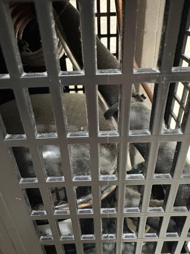 赤*影様 ゼンスイ ZC-100α 水槽用ミニクーラー 【通電確認・動作未確認・