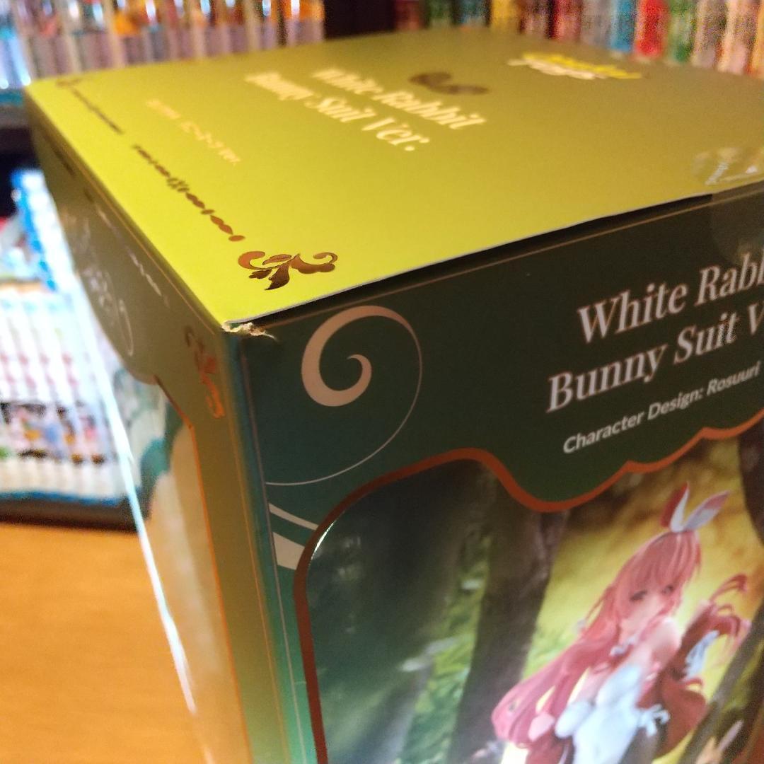 白ウサギちゃん Illustrated by Rosuuri 1/7　フィギュア
