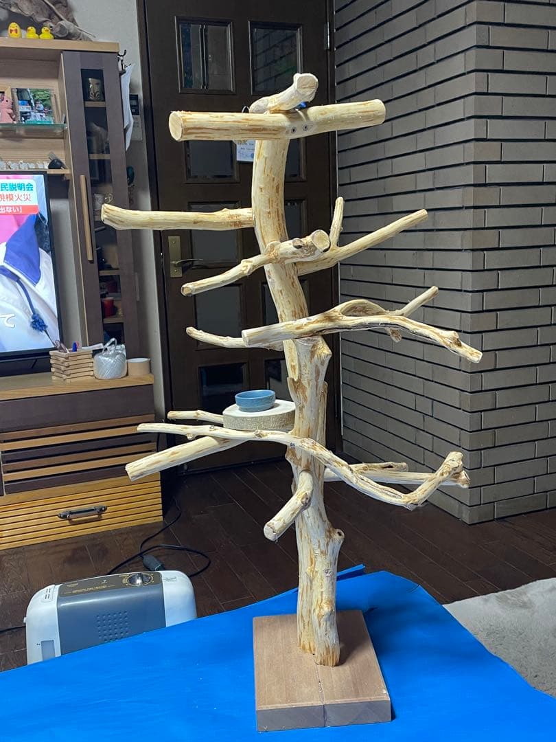 天然木白木バードジム　高さ92センチ