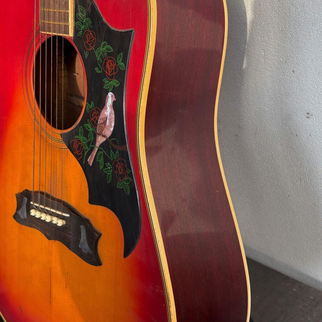 黒沢楽器&長野楽器 DOVEモデル(送料込)