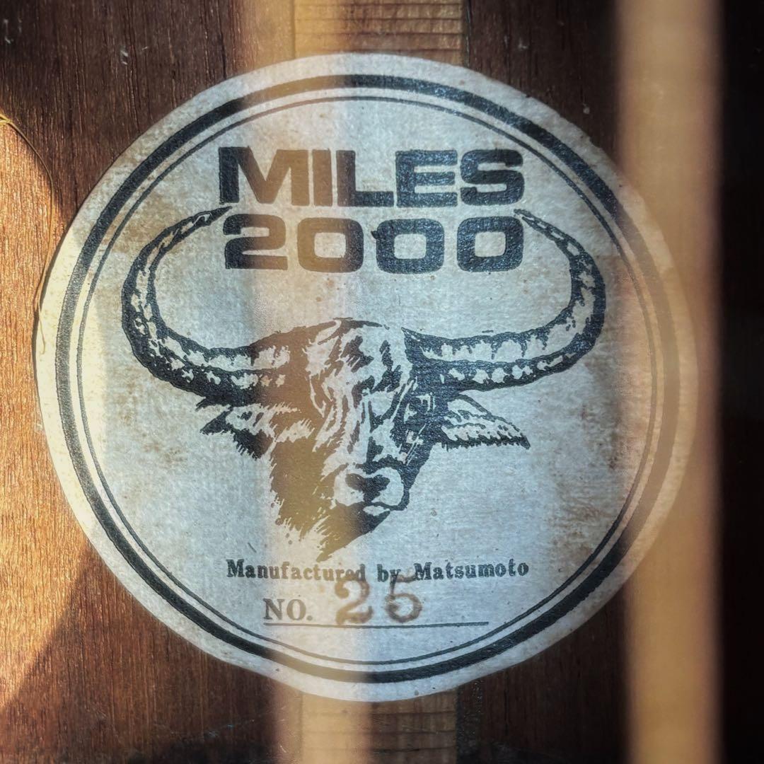 黒沢楽器&長野楽器 DOVEモデル(送料込)