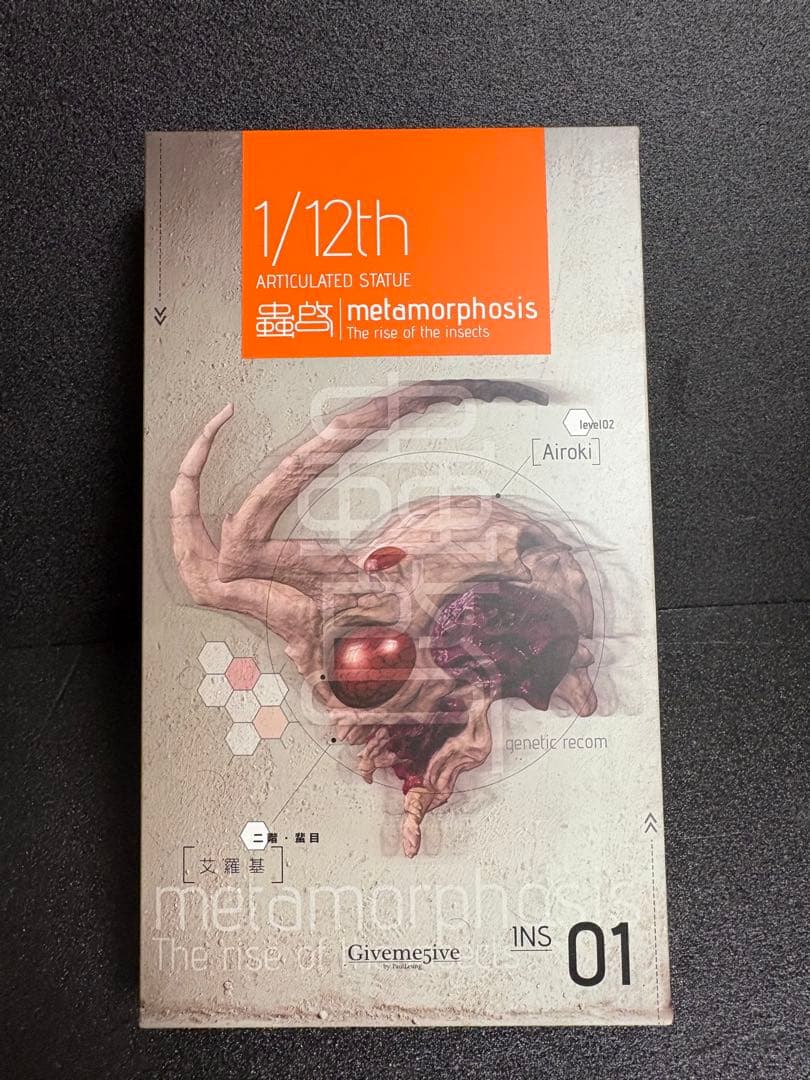 Giveme5ive Airoki(アイロキ) 1/12scale フィギュア