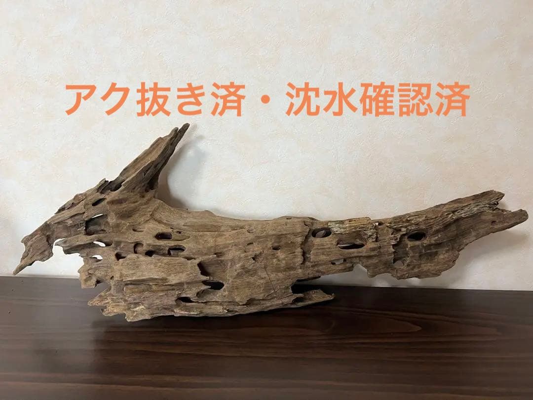 (XM-158) 流木　マシンガンウッド　ブランチウッド　アクアリウム