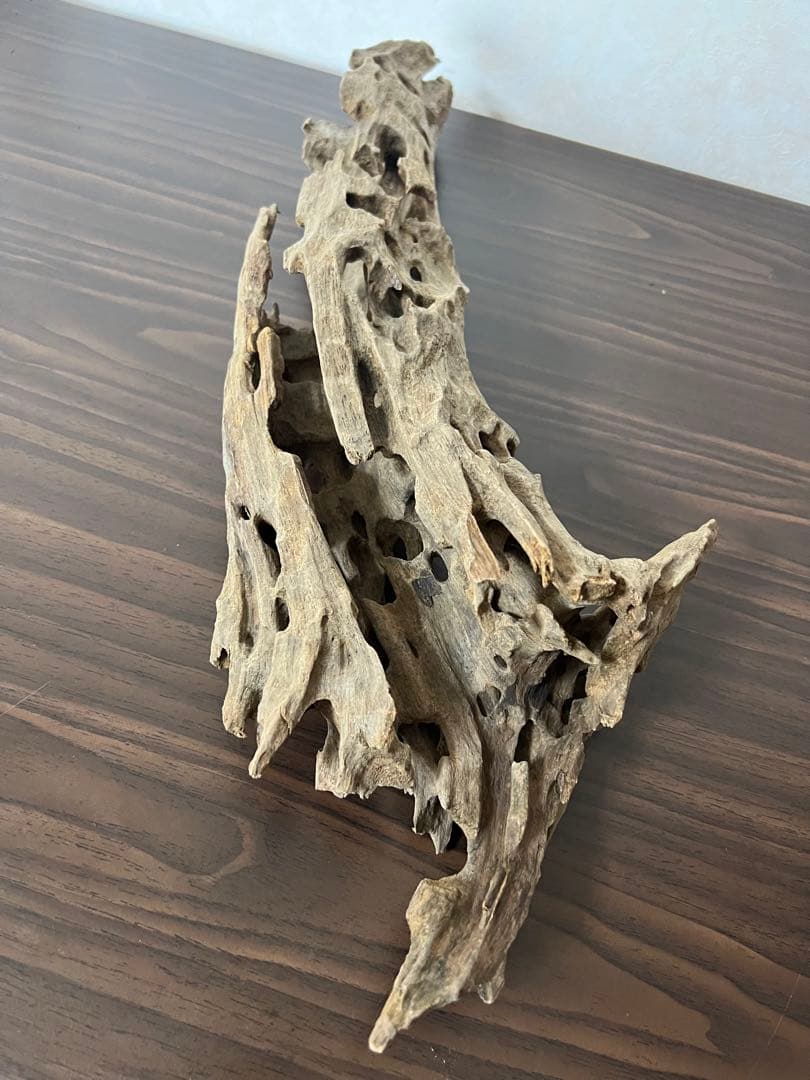 (XM-158) 流木　マシンガンウッド　ブランチウッド　アクアリウム