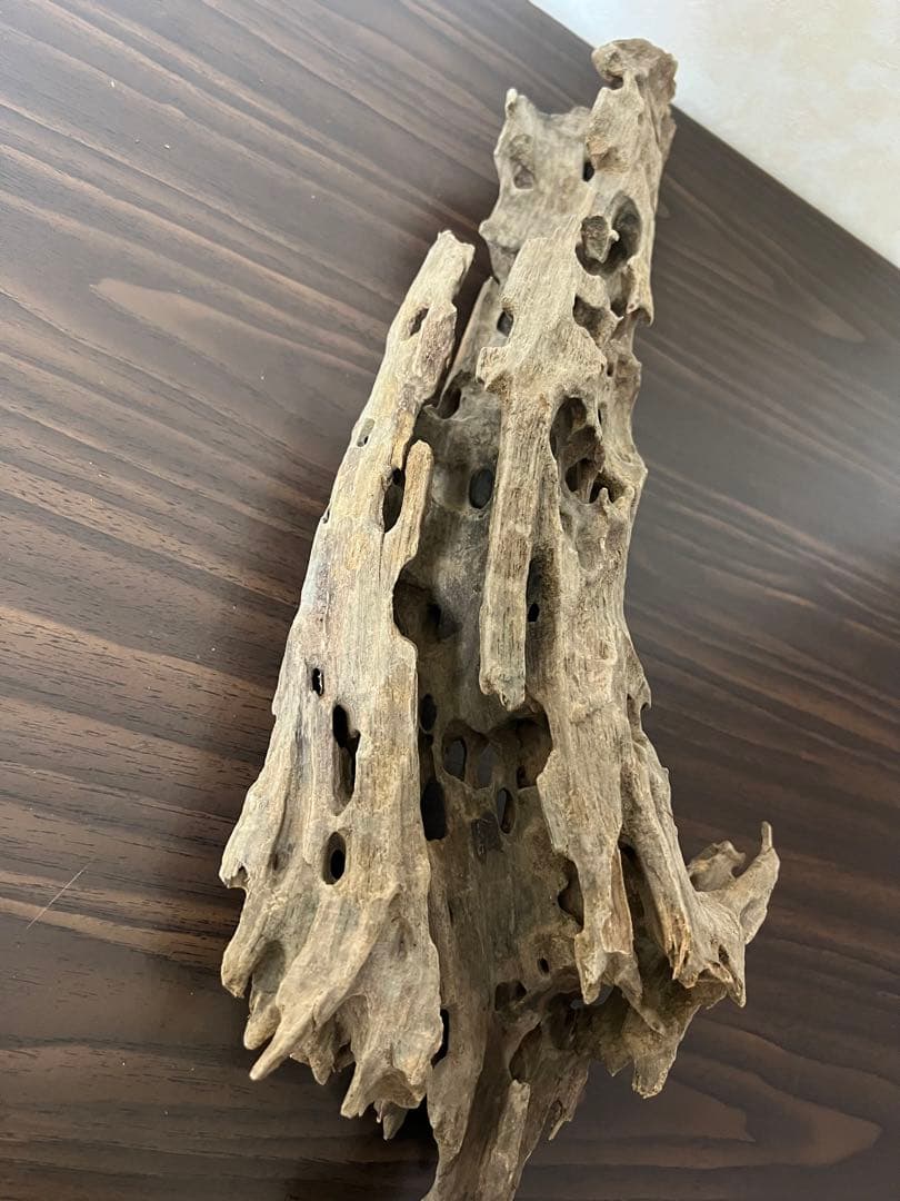 (XM-158) 流木　マシンガンウッド　ブランチウッド　アクアリウム