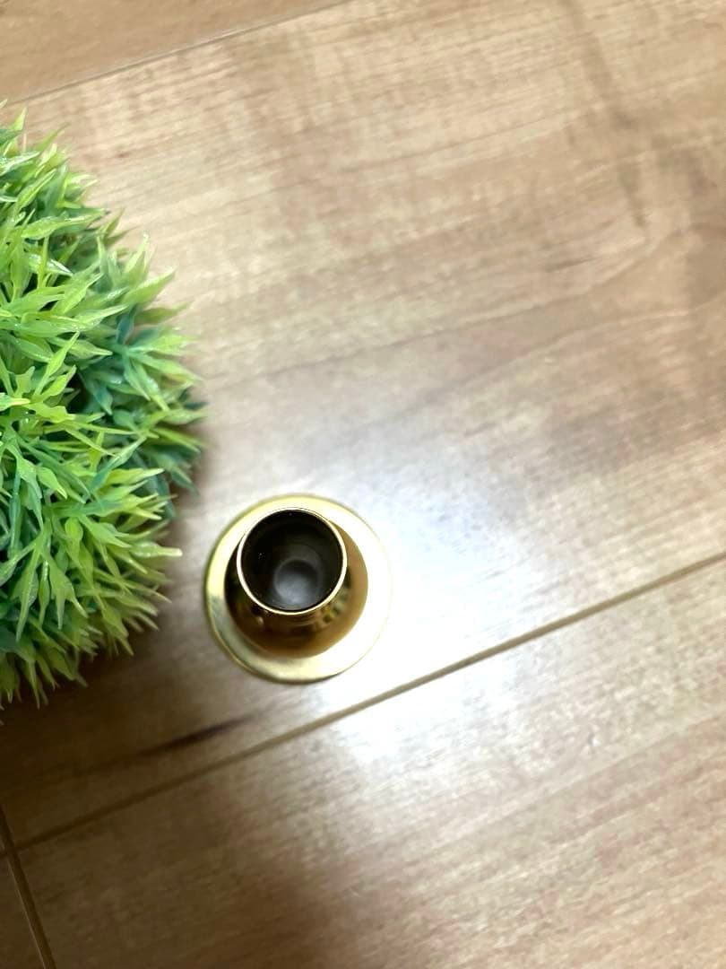 ⭐️【ロンドンフィル御用達】ＤＷ ヘリテージ トロンボーン マウスピース 5AL