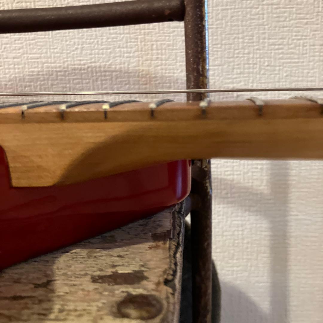 ピグノーズPGG レッド