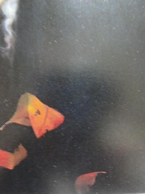 深沢 邦朗 【晩秋】 希少画集画、状態良好、新品高級額装付