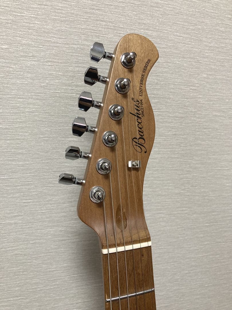 h*a様 新品未使用品 バッカス BACCHUS BTE-2-RSM/M OWH