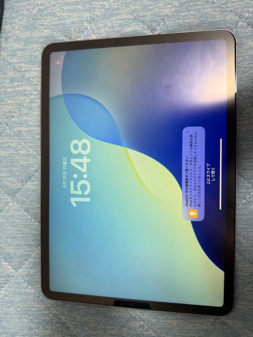 iPad Pro11インチ　第4世代 256GB