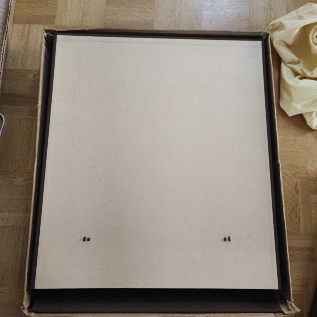 真作 奥村土牛 版画 日本画 花 絵画 限定250番のうち終番250 講談社