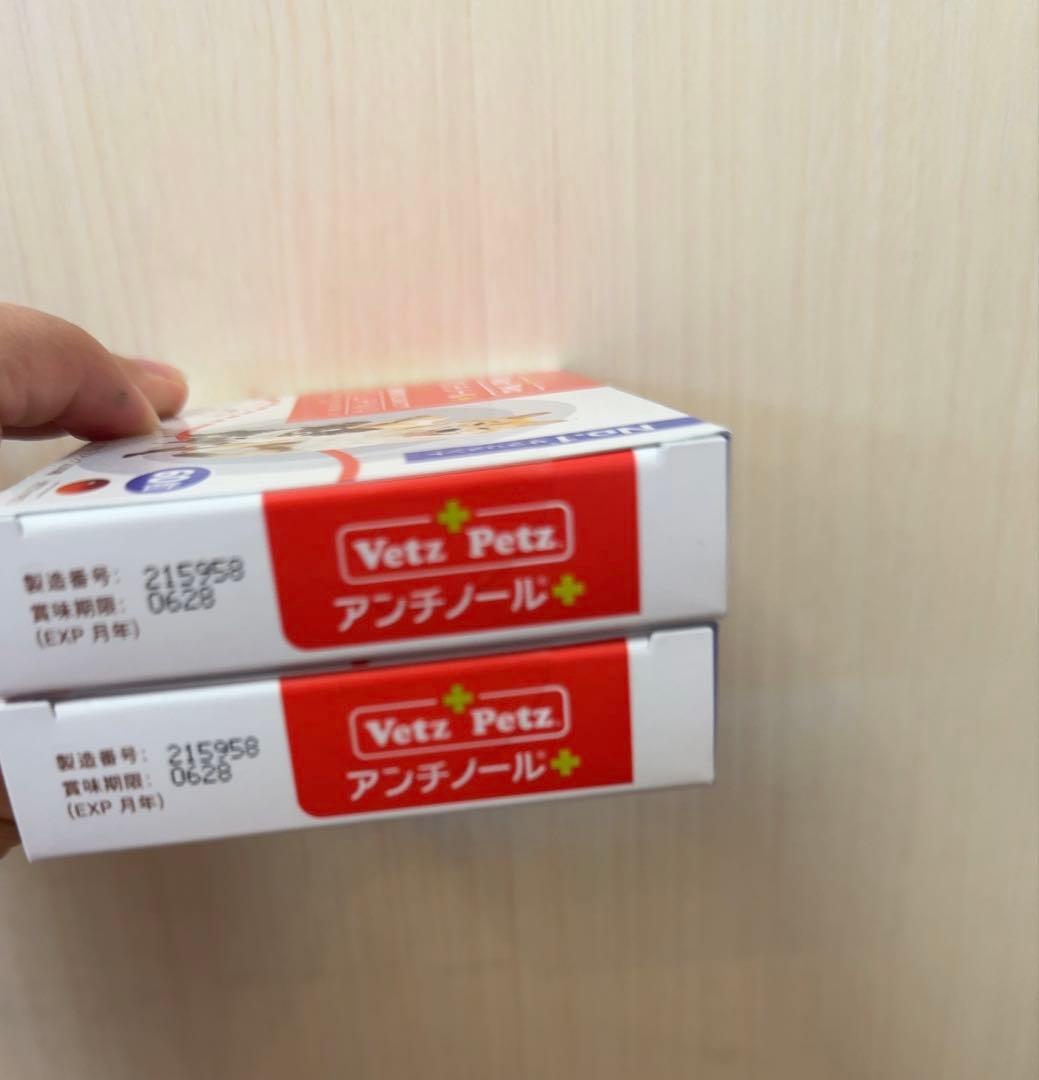 アンチノールプラス6粒×2