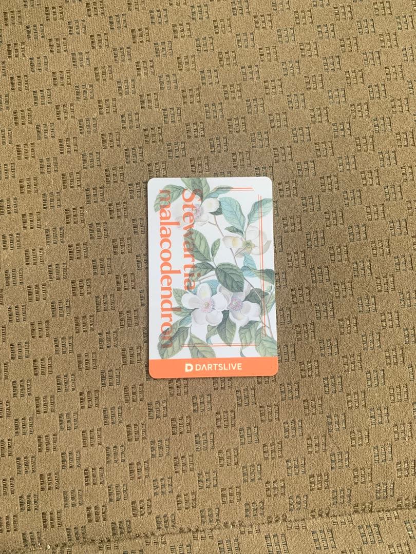 次*く様 ダーツセット