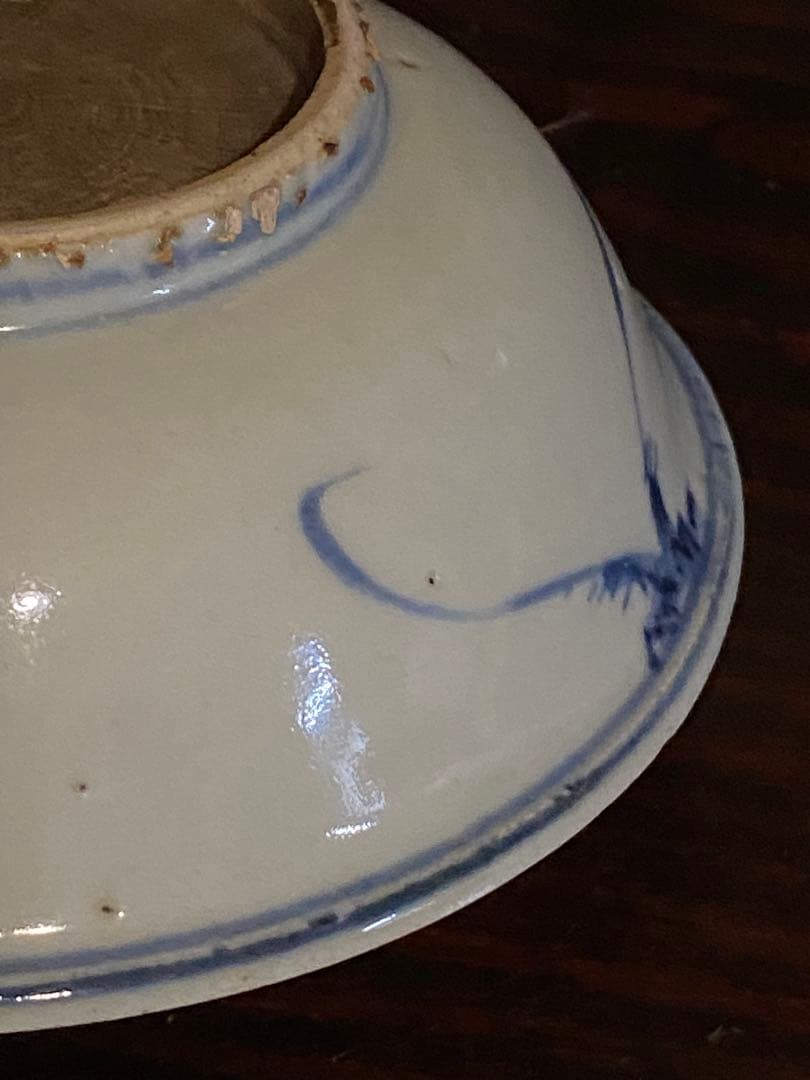 水草水禽文　古染付　平鉢