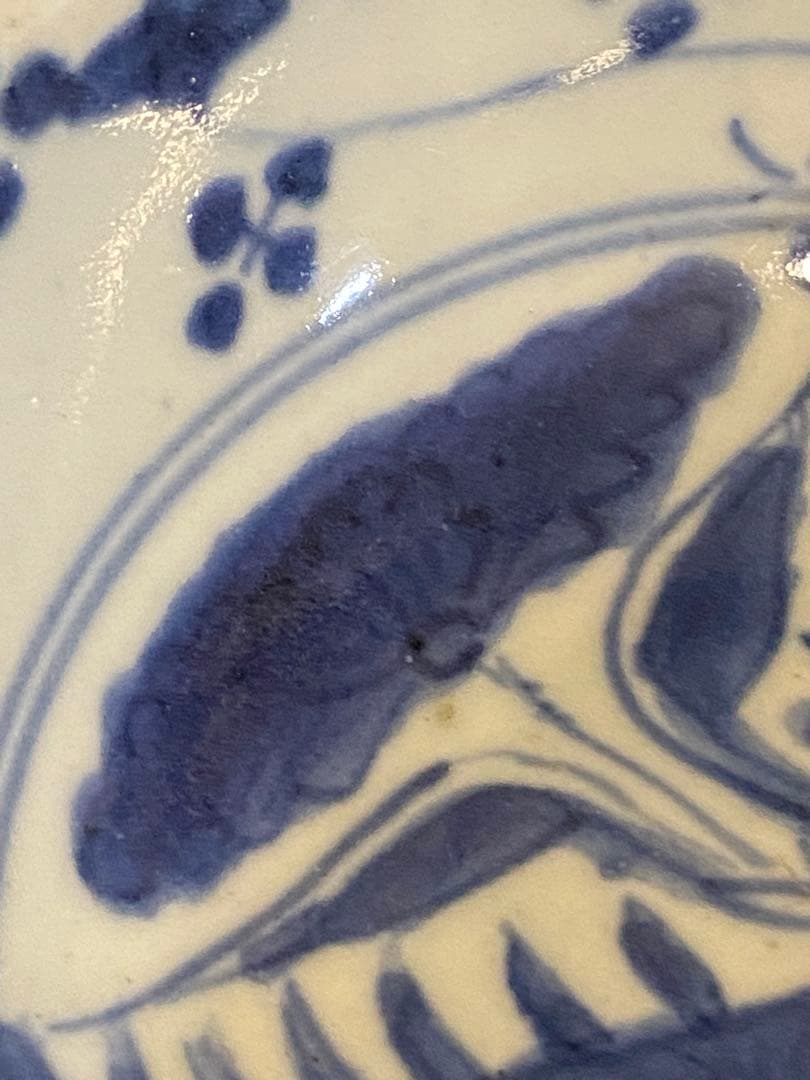 水草水禽文　古染付　平鉢