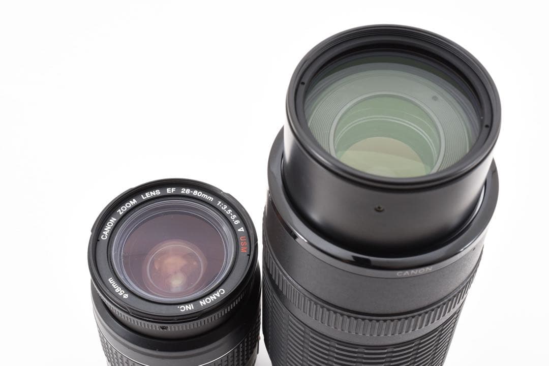 Canon EOS 7D MarkⅡ標準&望遠ダブルレンズセット