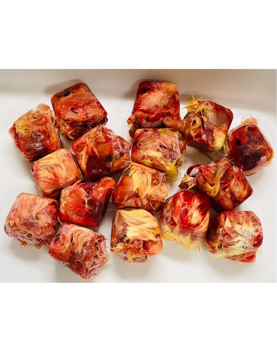 まみページ　冷凍ひよこ　100羽分　着払い