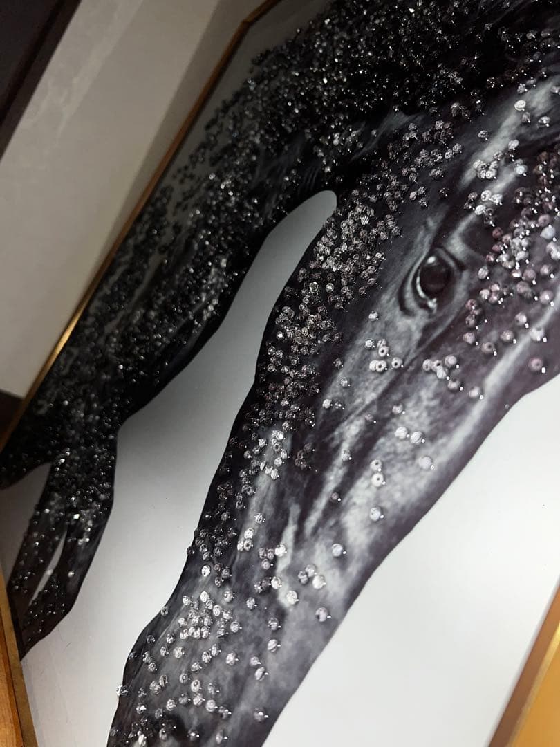 オマージュアート　黒馬