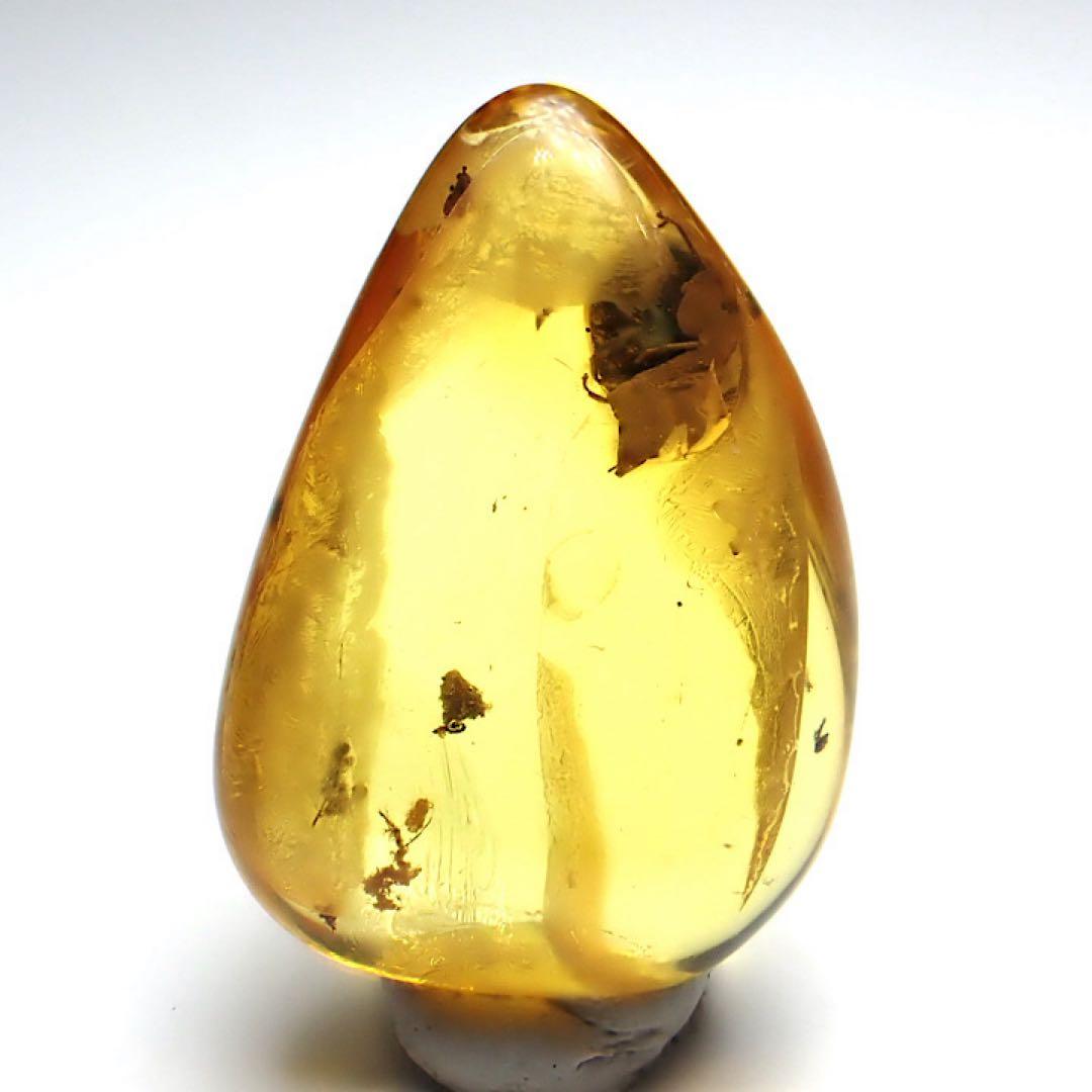 【バルト海産】虫入りコハク(虫入りアンバー)